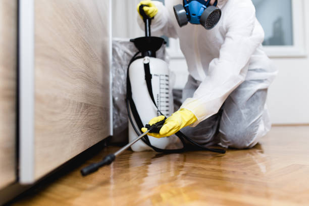 Best Affordable Pest Control Services  in Kurtistown, HI
