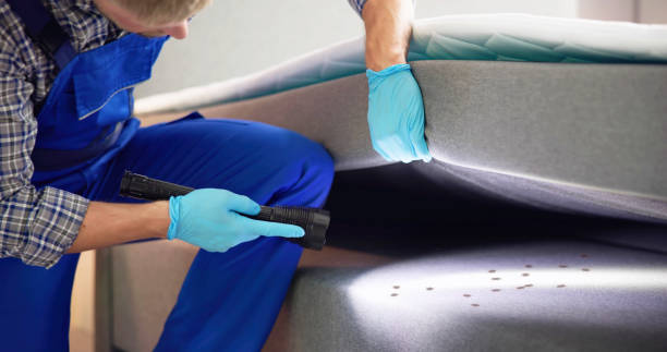 Best Pest Prevention Services  in Kurtistown, HI